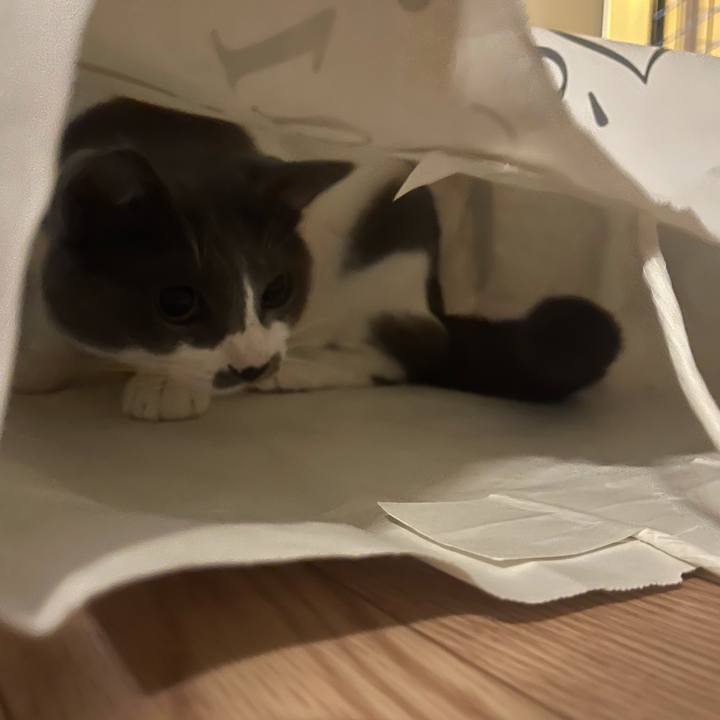 F9f1608e 5ad2 4a8a 9cd5 374c69f67e63 1629013747561