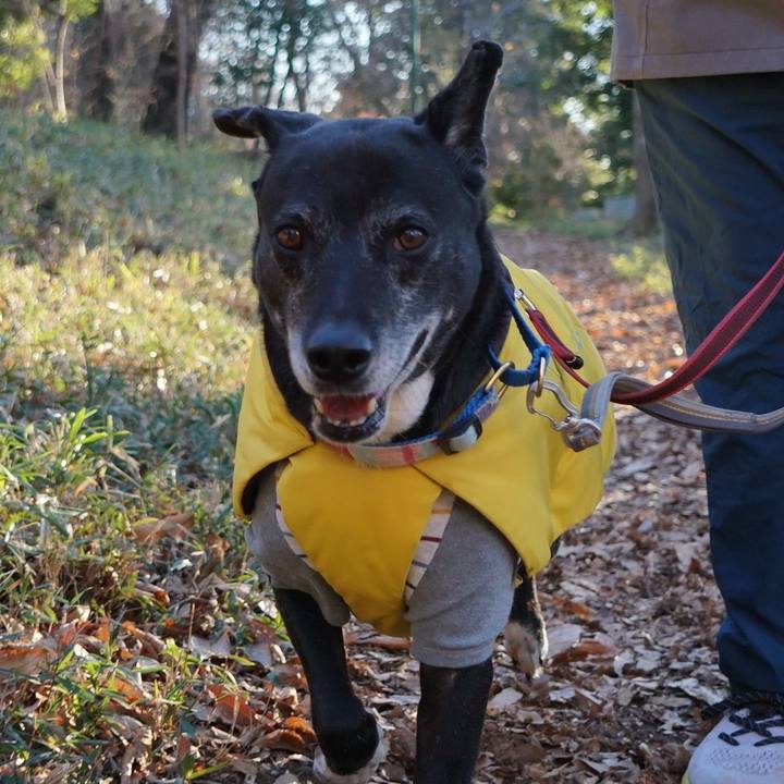 F9f1670b bb62 45d4 ad8c bee2886aca77 1767918217940