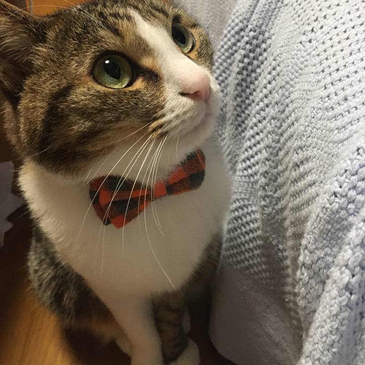 F9f1b541 3d9f 40cf 9461 92d5d757641f 1705476529306