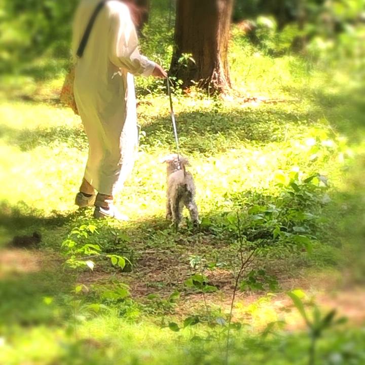 F9f1e9f6 8b05 4e82 882a caaa2742e171 1651324196073