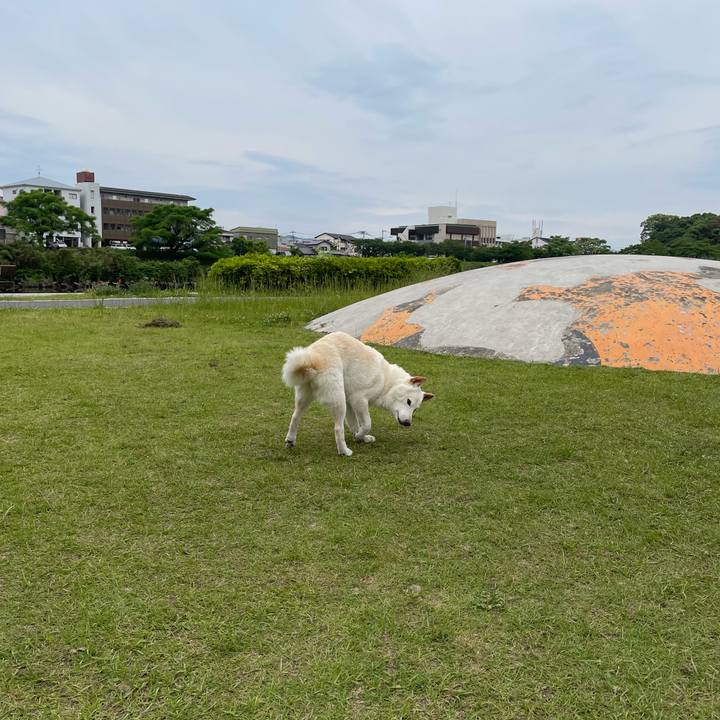 F9f1fb58 9c58 4f17 b395 81b767789fe7 1653054321325