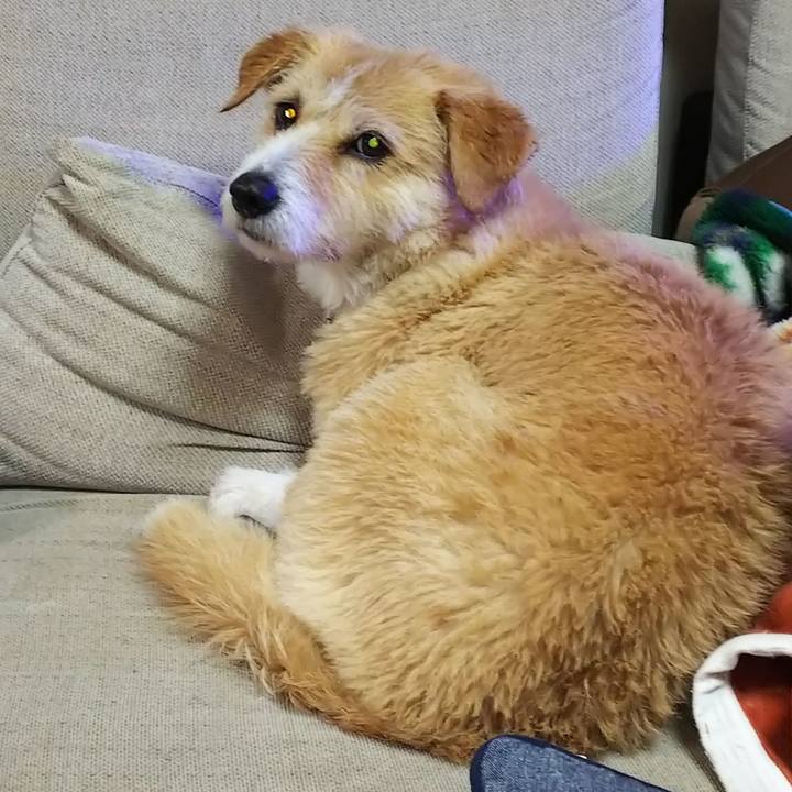 F9f21737 321d 49bb 91b7 04a2bcceb009 1553427068489