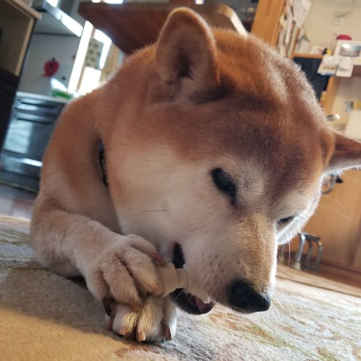 F9f24024 c605 4b63 868a ca6e449edeb7 1567669010189