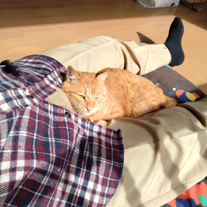 F9f24fcb b6e3 463a af68 e8a32bc8c602 1665191403674