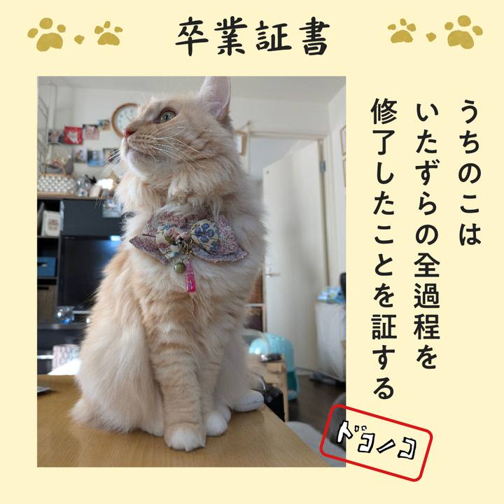 F9f2678d c3e4 4f2a b964 1b599c64f5fe 1771852151484