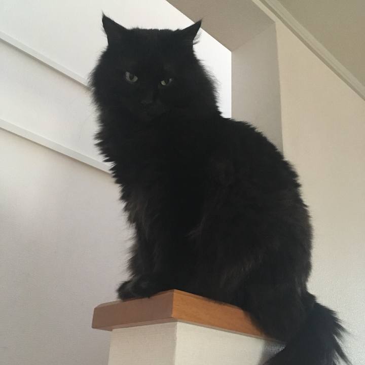 F9f27cd8 22fd 4bbf 95fd 1f375debedba 1552985412150