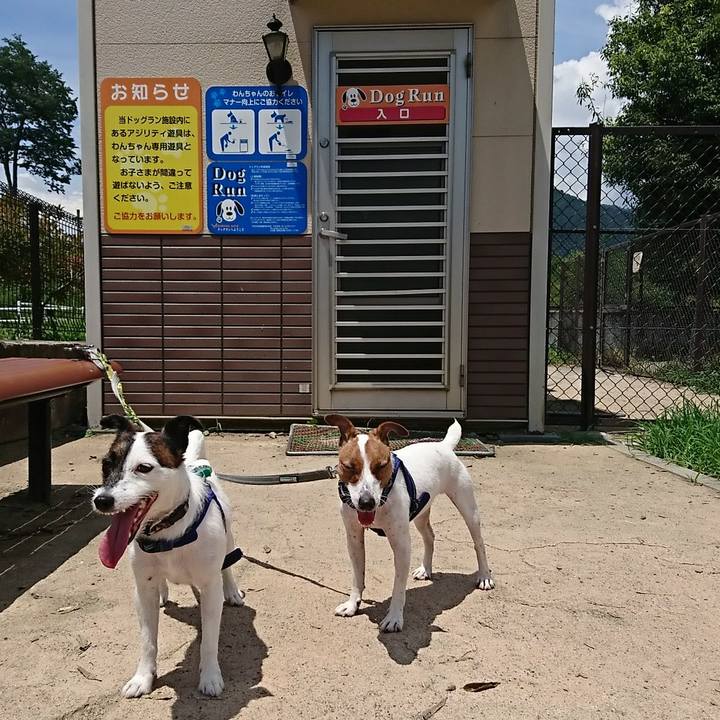 F9f28831 489c 42e7 a168 739c25c49c2c 1531275303147