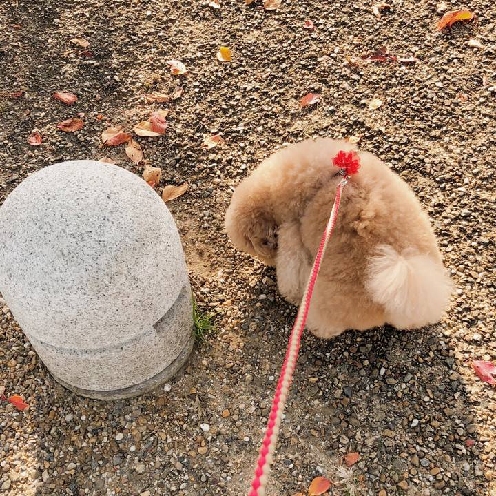 F9f29ec4 aa81 44fa aa44 4691da3a1900 1510015990810