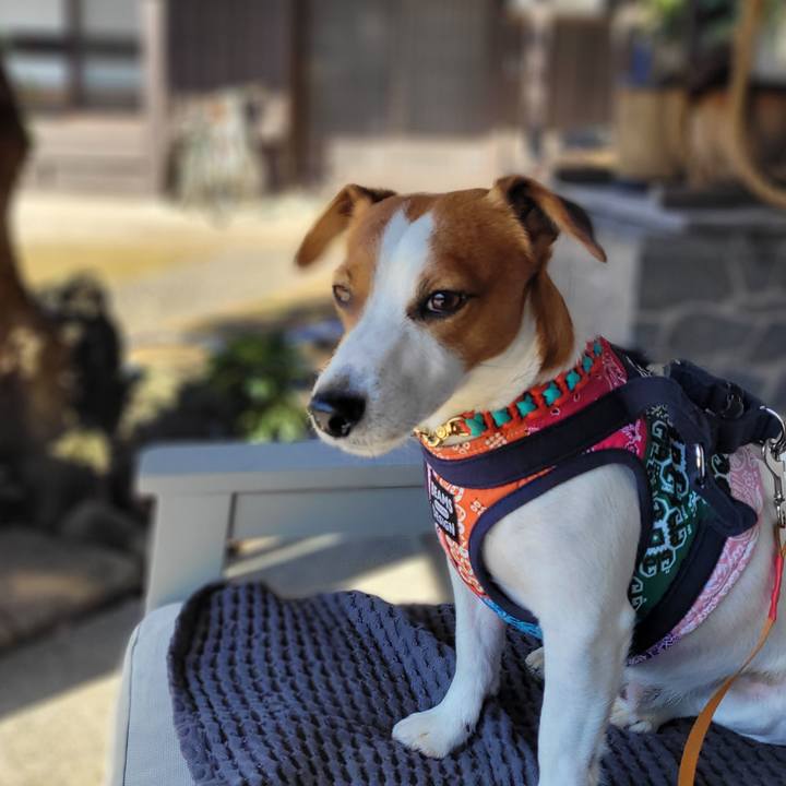 F9f2e91a e7d5 4e92 ae09 61a9798183a5 1699438454894