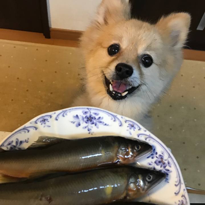 F9f3166b 6168 486e a9fa 86a7427abab1 1573642987054