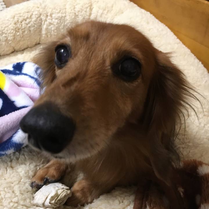 F9f331d0 fe15 423c 9162 12ff772fc6ce 1546172832875