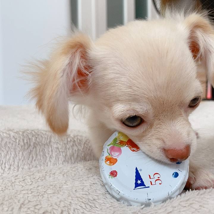 F9f364ec f197 4726 b7c8 0be960ee6095 1591680757835