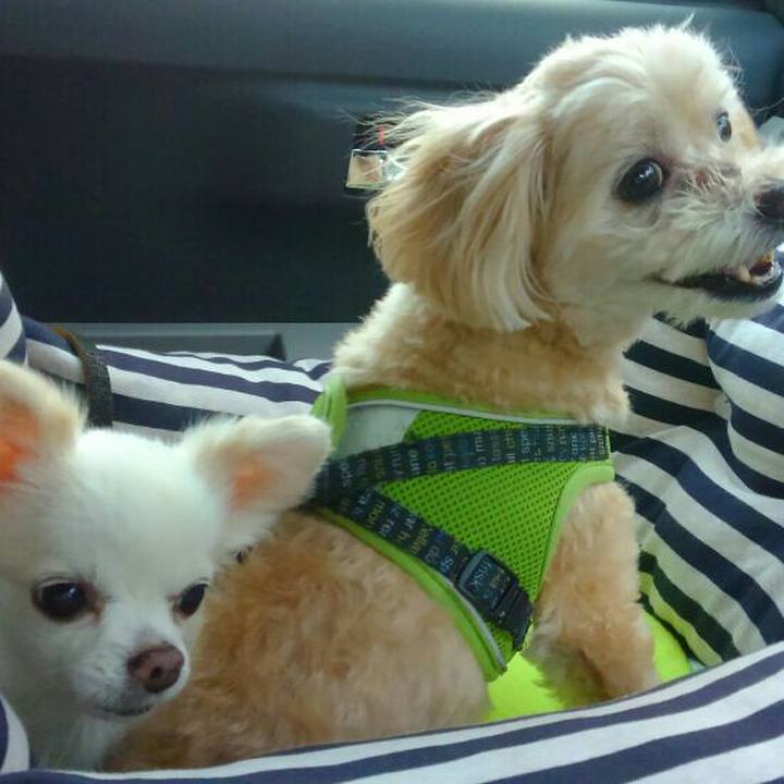 F9f3b238 6774 452b 8c94 373dbec0920f 1563965377675