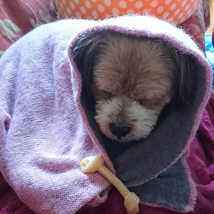 F9f3b2c4 7bb3 404b 93b3 a6ed45a649fb 1517802406651