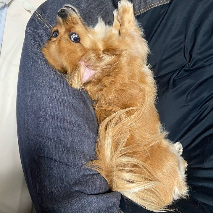 F9f3d3dc 5cc4 475c b5ab 34c3d222592b 1603750790796