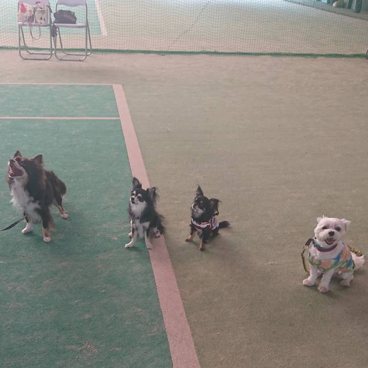 F9f3e5d2 7c2c 4932 b6b2 48f1e6098a5e 1557659052270