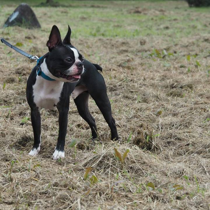 F9f3ee87 7bcb 46ff 8482 1e3bcfc286c8 1537158353251