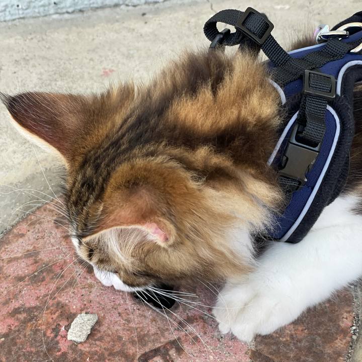 F9f4c65f e918 4cf8 8acd cfa5114c2f27 1633751746061