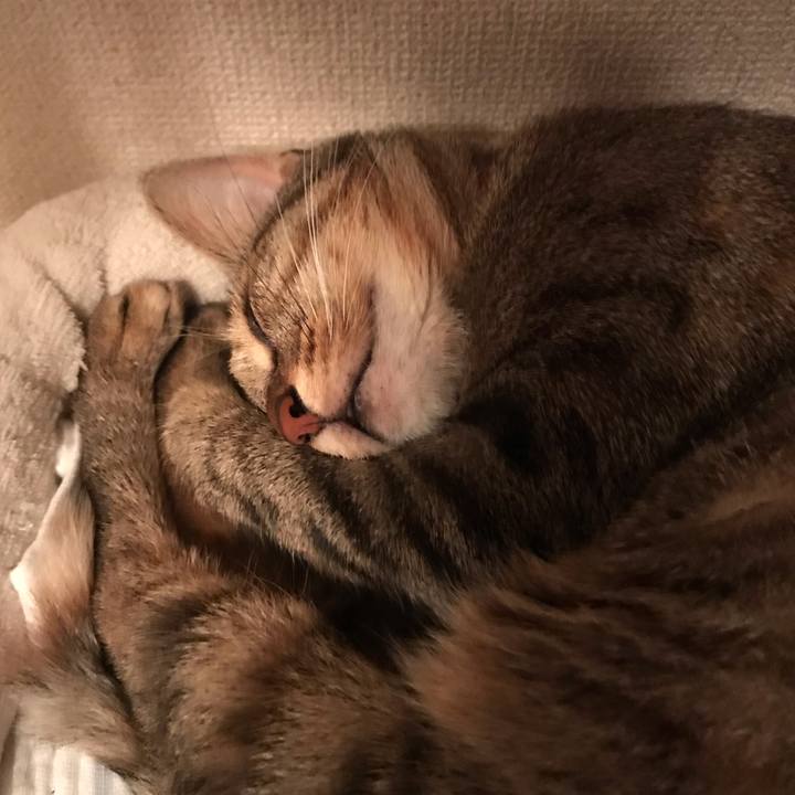 F9f4d99c afc7 45d2 882f 0b1fbf5ad23b 1592784100098