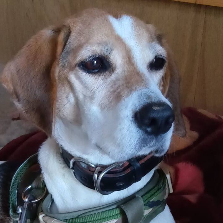 F9f4ecba 6d76 4c2b afd7 5ac888082c15 1733365985200