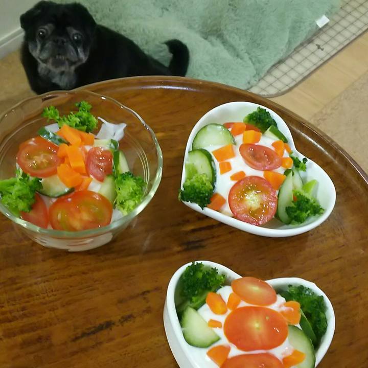 F9f4fd85 1643 4e2d a858 6fcdaadf65c8 1533819138568