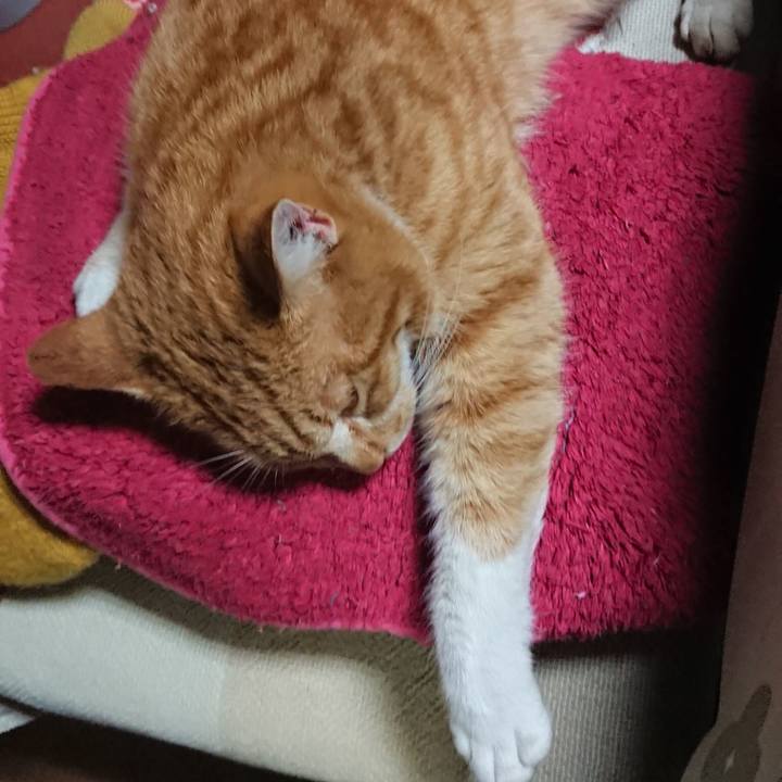 F9f51425 af3e 4a4c 8828 292b73b2f218 1551334463078