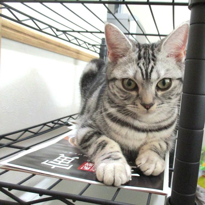 F9f528b0 7b1f 4fd6 874c fdfb3691a010 1550320055535