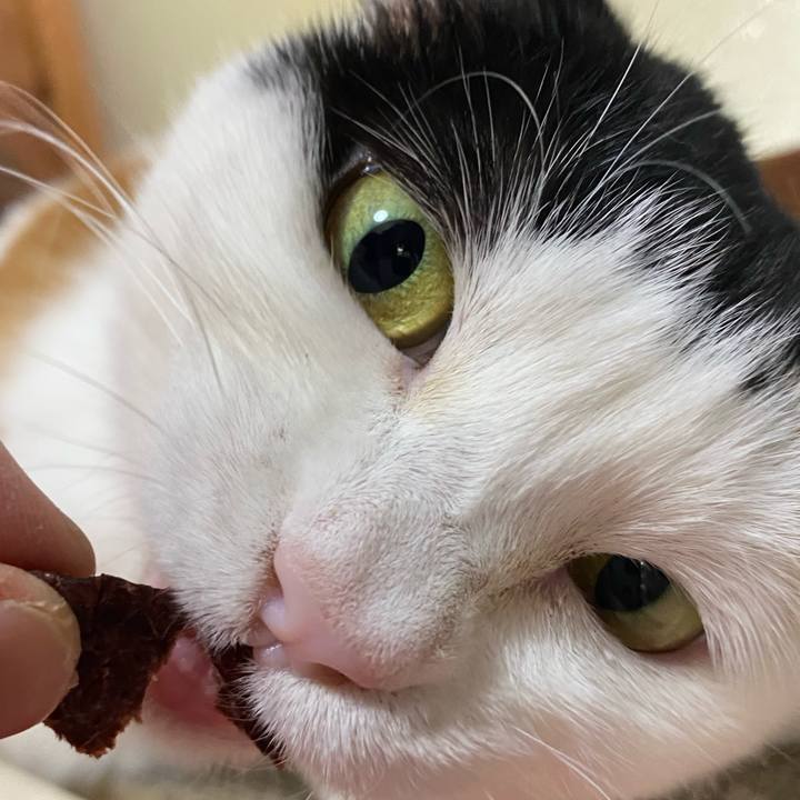 F9f5a0b8 55d5 49fe 827a 8143859d6da0 1681818442963