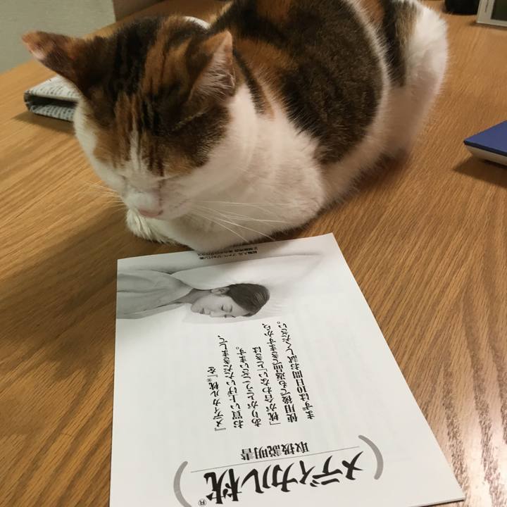 F9f5a0bb 777f 4c61 86a9 ef2c020db81c 1538132183734