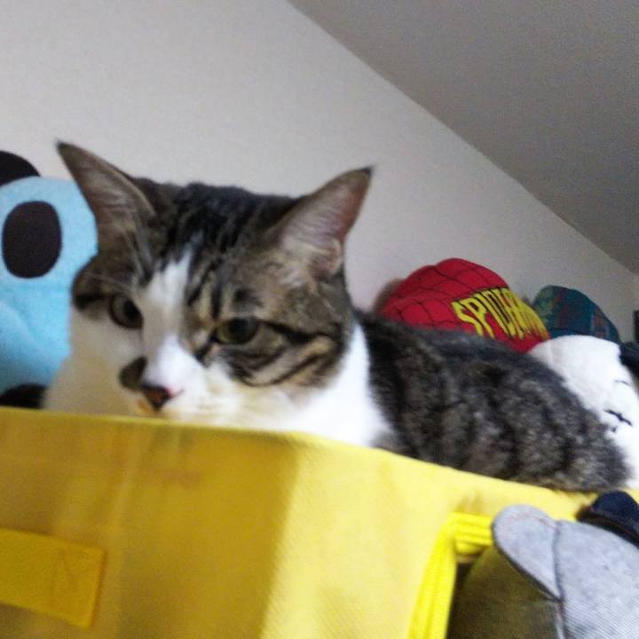 F9f5af71 de65 4ea5 ac0a f08ba6f677b1 1630847079313