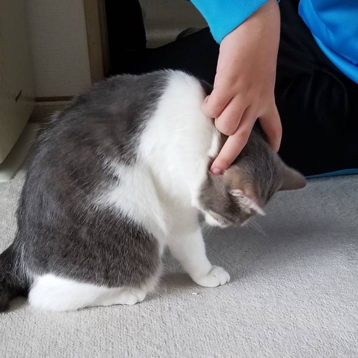 F9f5b534 1e2b 4eed a280 48b57199808b 1685770884255