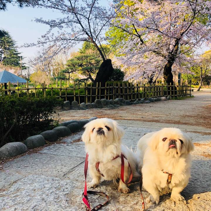 F9f5da09 9b40 4c5c 9b11 ea9f7e69cd84 1586320788501