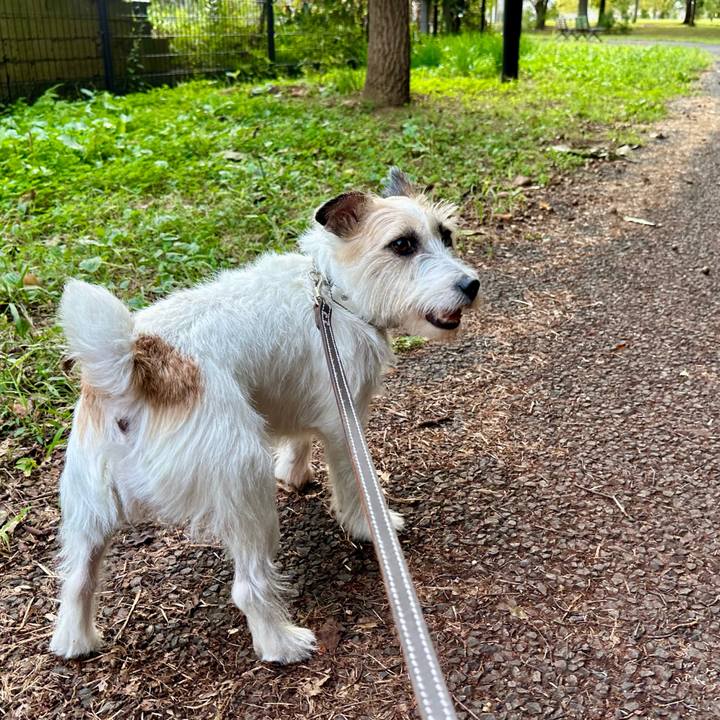 F9f63909 601c 44a4 a810 d862a44027dd 1758978050488