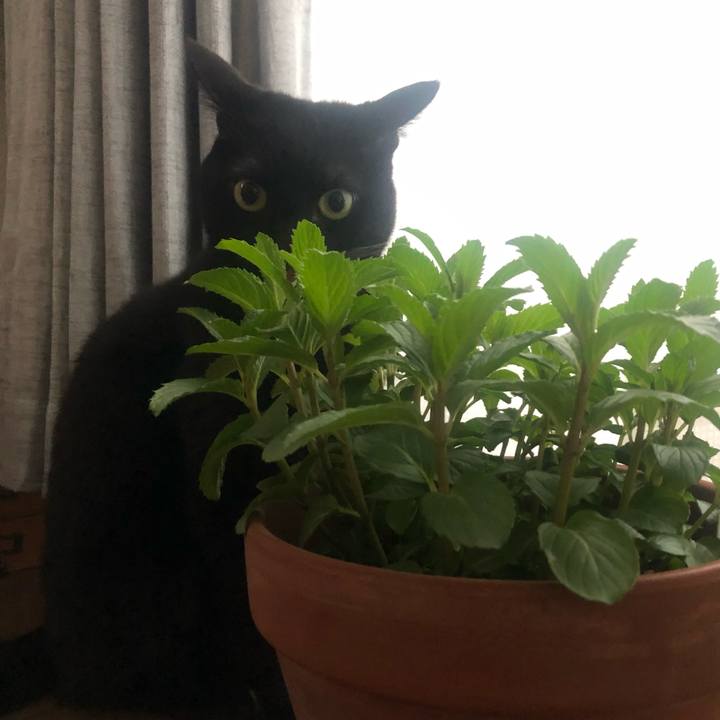 F9f64192 d7ca 41eb ba67 06e932cb0d26 1615627783110