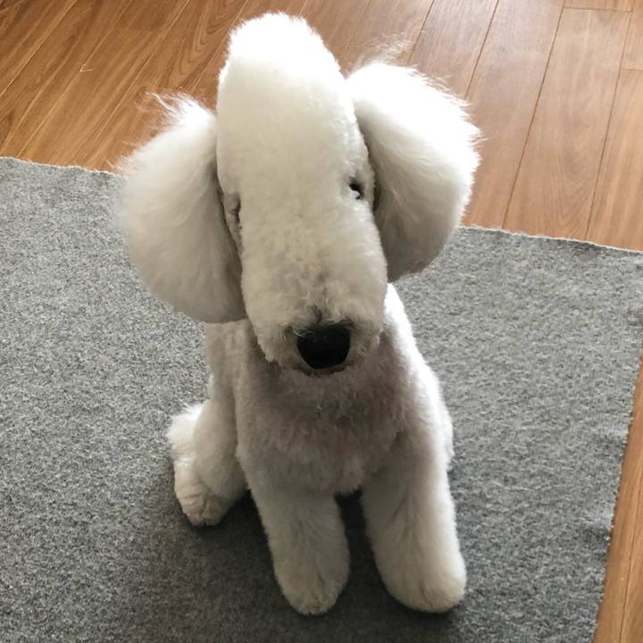 F9f654e0 64f5 4695 9574 41d73a3ddcee 1613280234356