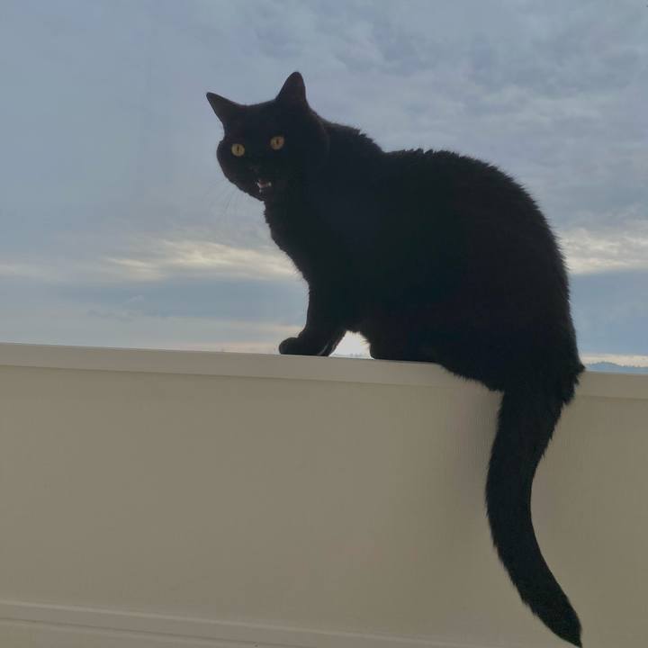 F9f67238 9a52 4e3f 9a20 d67f37b714c8 1681270121296