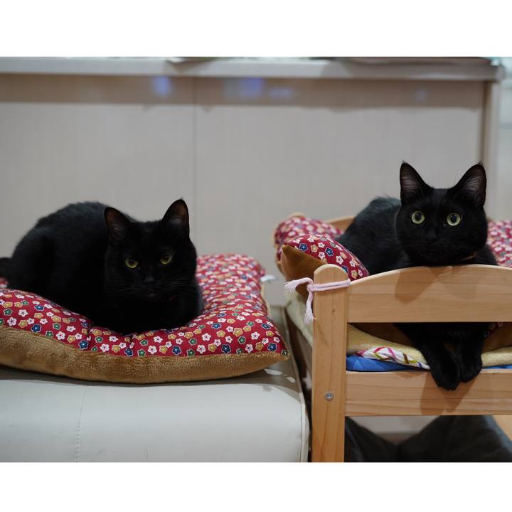 F9f677a1 edf1 4484 ab4e ca938442dc73 1574295255363