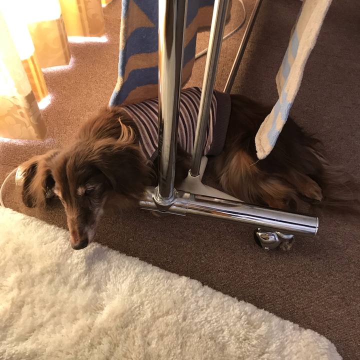 F9f6963f a2a4 43fe bc21 0441ad8521cb 1603166209121