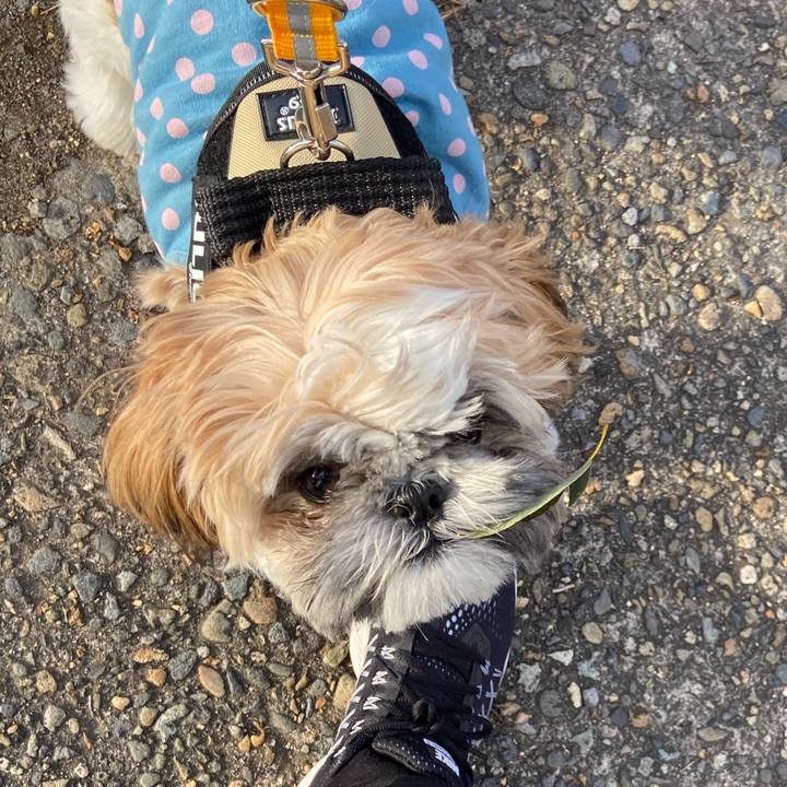 F9f6b678 e5fc 48ab 931d f6753dcdcae7 1638171065212