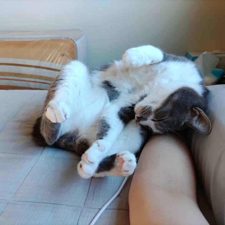 F9f6eecd 6b56 404c 8bbf 95545cbadaf2 1664090911736