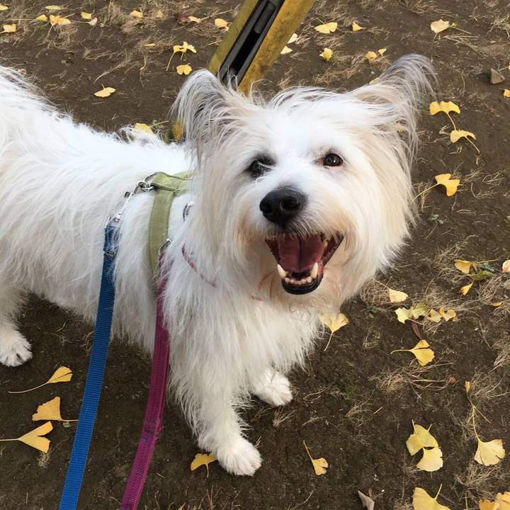 F9f7264e f26c 4da4 9814 92cd8ac4d364 1576409916570