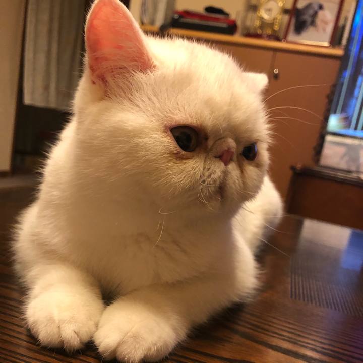 F9f7371c 06c3 4f41 960b e8a7803c1653 1564486463126