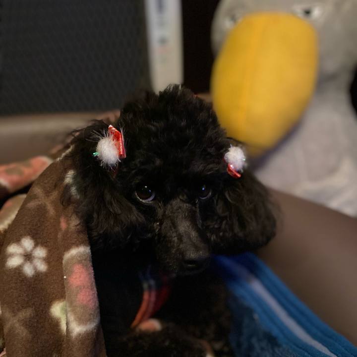 F9f758f4 4a33 4517 a276 0f7c747f4cf8 1609936119472