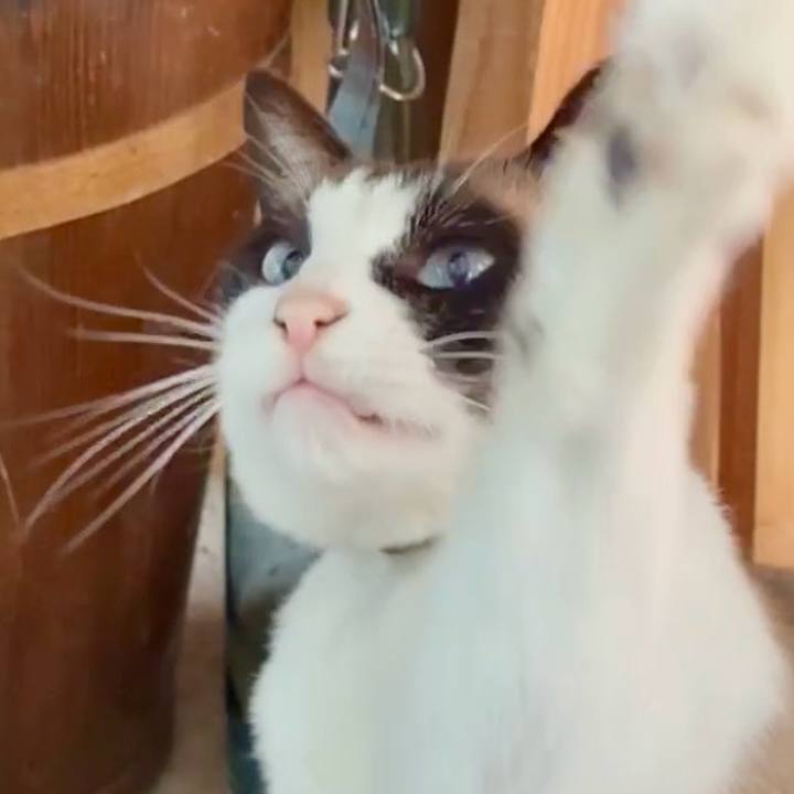 F9f75f2e d559 41dc 967e 06f23e29b731 1747966344409