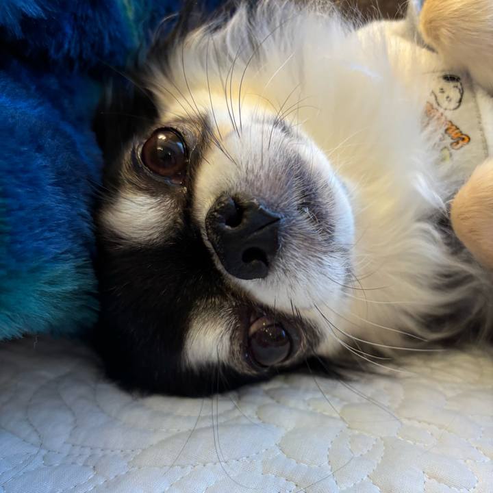 F9f7d95d 2689 4e7b a591 2eec2a041586 1764520857274