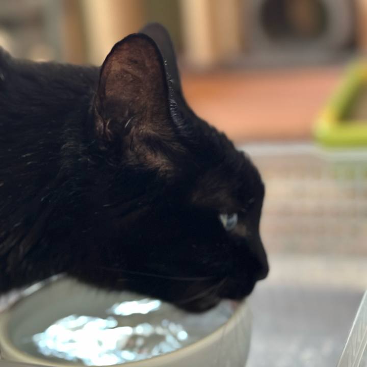 F9f7eca2 a292 4267 845e 13f6e8716ec3 1706840382494