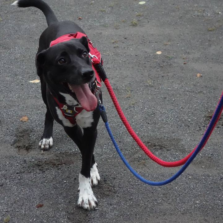 F9f862ec ebc1 4322 a26b b6eed9e634ab 1593080108563