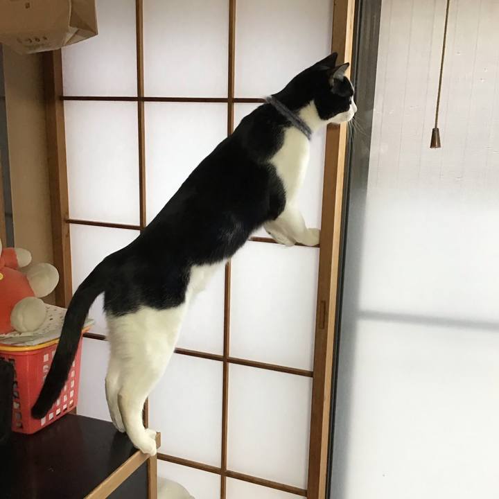 F9f8651f ae8e 43dd bae5 785912a60b2f 1643527668343