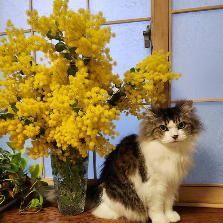 F9f86bf6 c3ac 4378 b254 00537e66aa1b 1772440089990