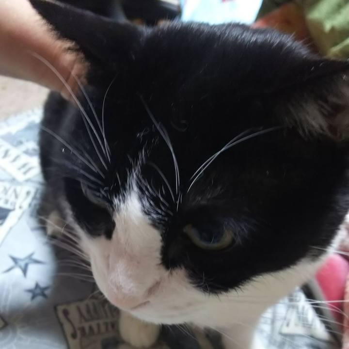 F9f8ff31 a89b 40b8 8955 e38a414c749a 1585623789477